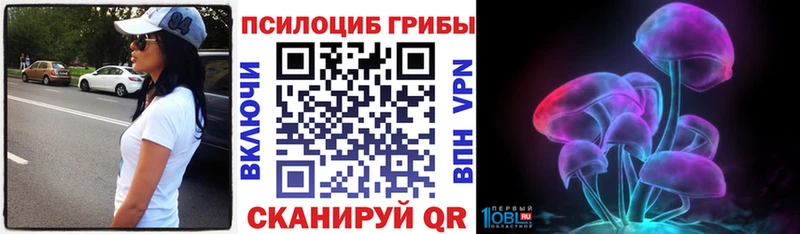 Псилоцибиновые грибы Cubensis  как найти закладки  Починок 
